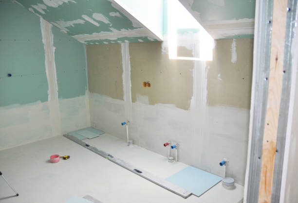 Best Black Mold Removal  in Florence, SC