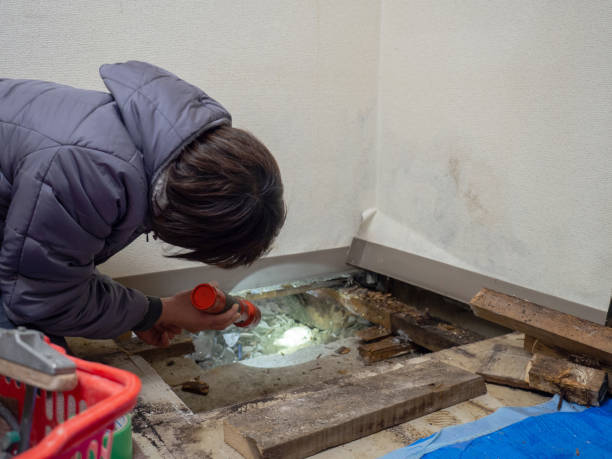 Best Crawl Space Mold Remediation  in Florence, SC