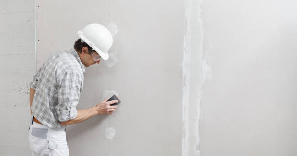Best Mold Damage Restoration  in Florence, SC