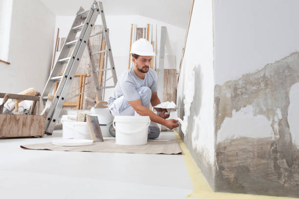 Professional Mold Removal in Florence, SC
