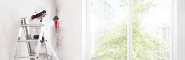 Best Post-Construction Mold Inspection  in Florence, SC