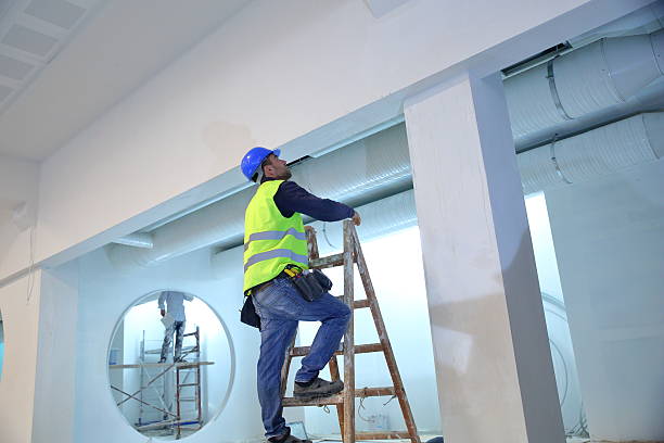 Best Mold Odor Removal Services  in Florence, SC